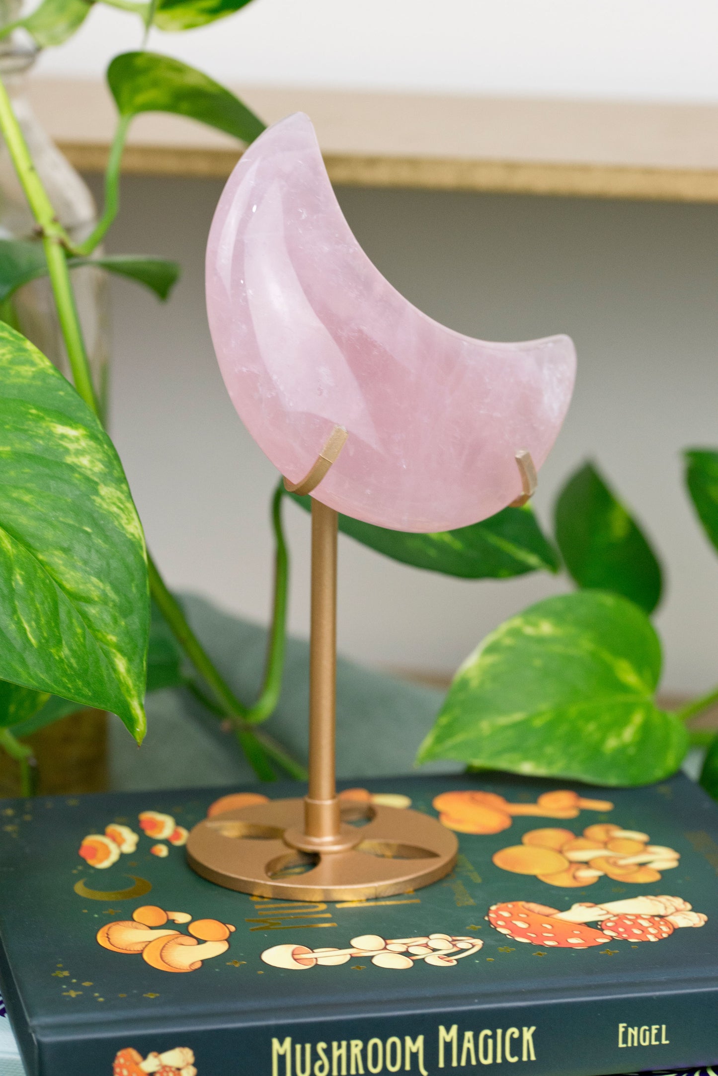 Rose Quartz | Moon