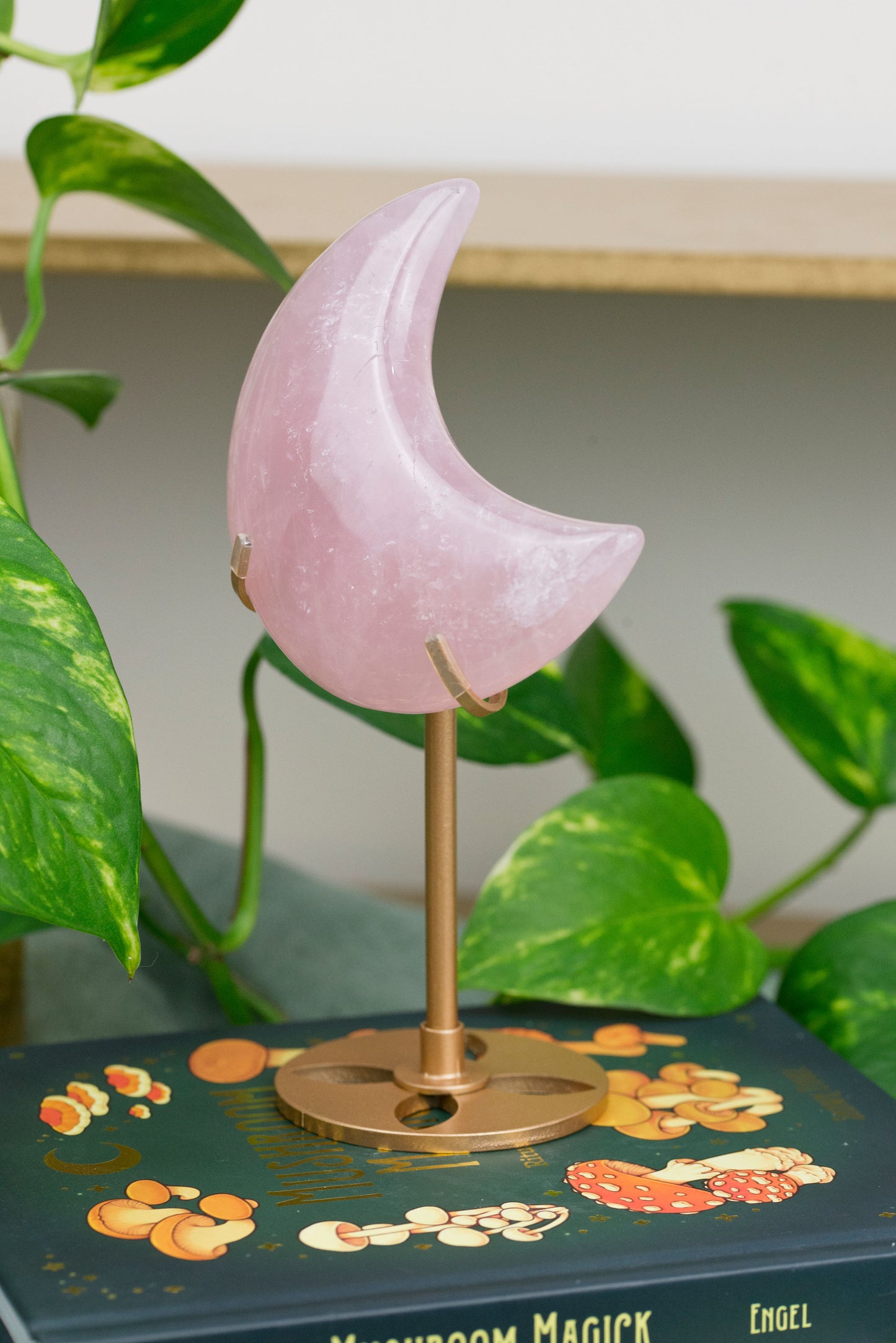 Rose Quartz | Moon