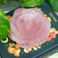 Rose Quartz | Lotus