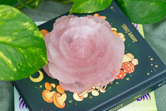 Rose Quartz | Lotus