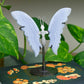 Blue Lace Agate | Butterfly