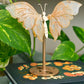 Golden Healer Quartz | Butterfly
