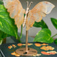 Golden Healer Quartz | Butterfly