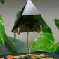 Smoky Quartz | Triangle