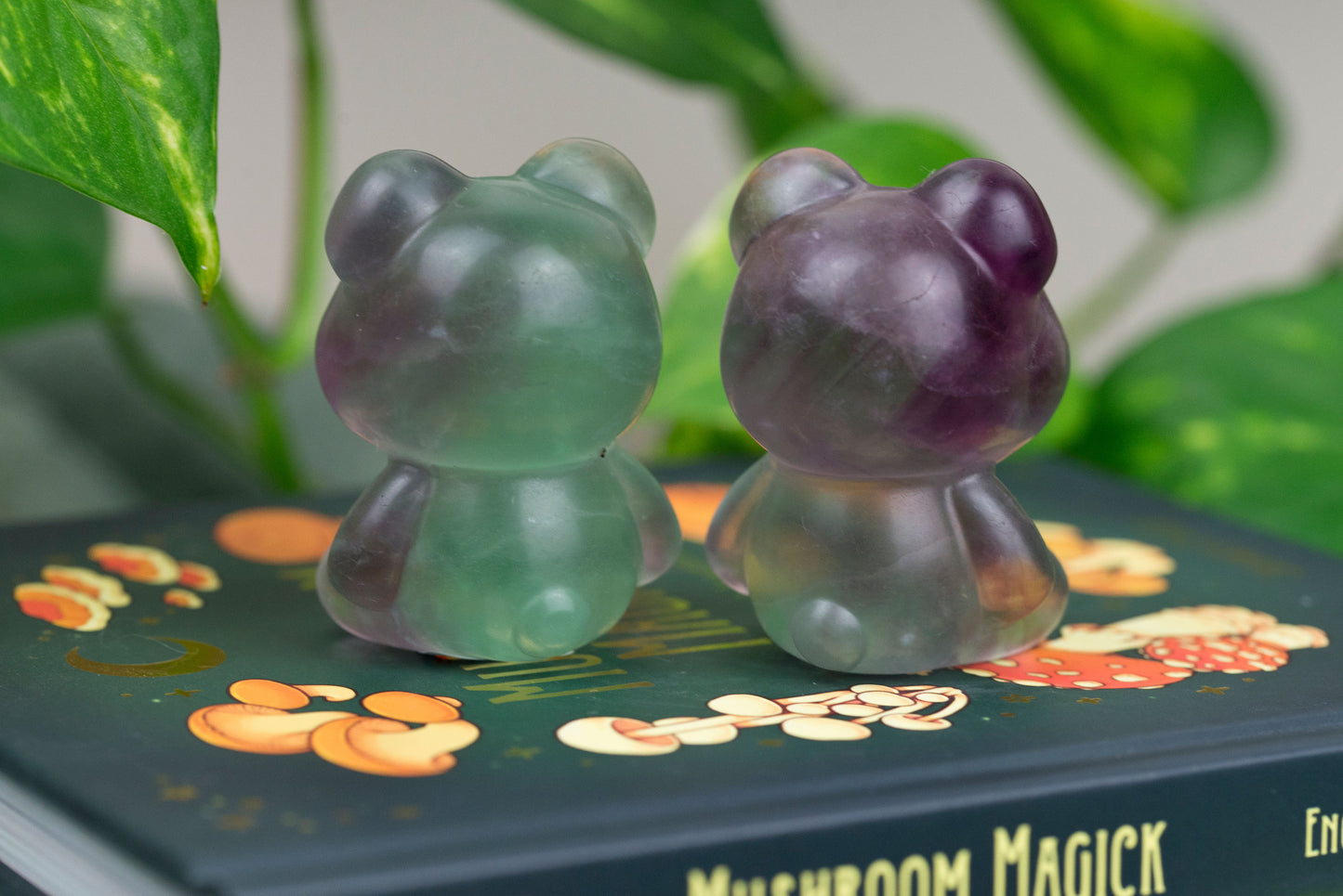 Rainbow Fluorite | Bears