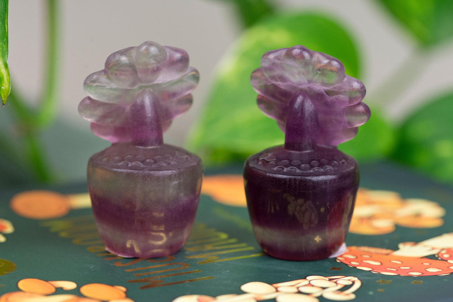 Rainbow Fluorite | Potted Flowers