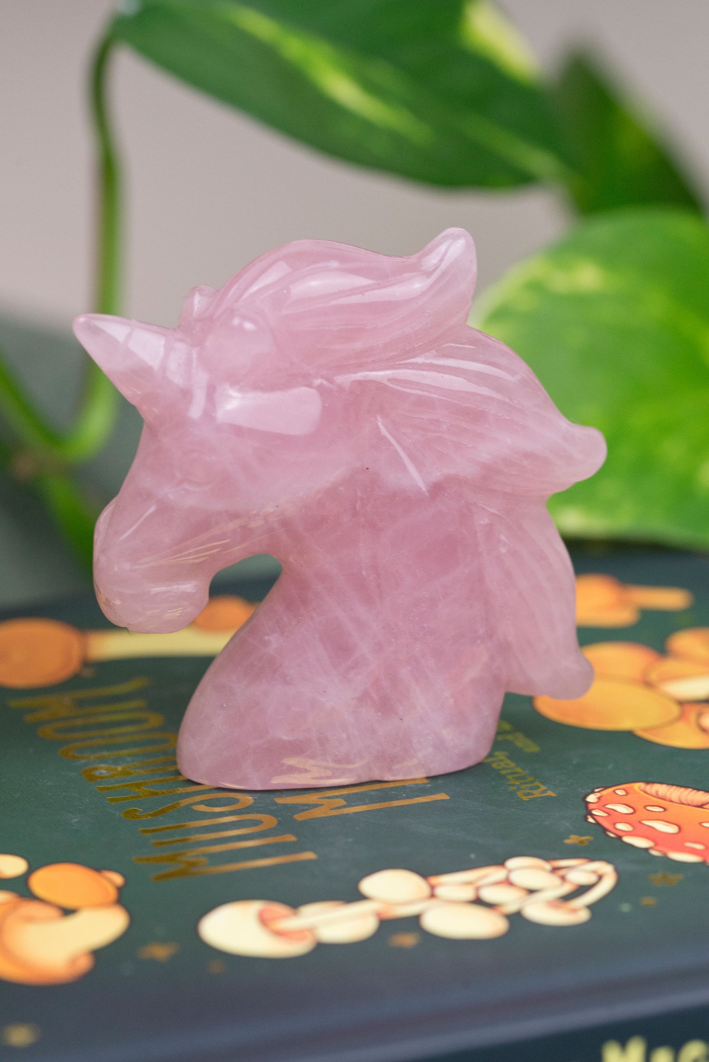 Rose Quartz | Unicorn