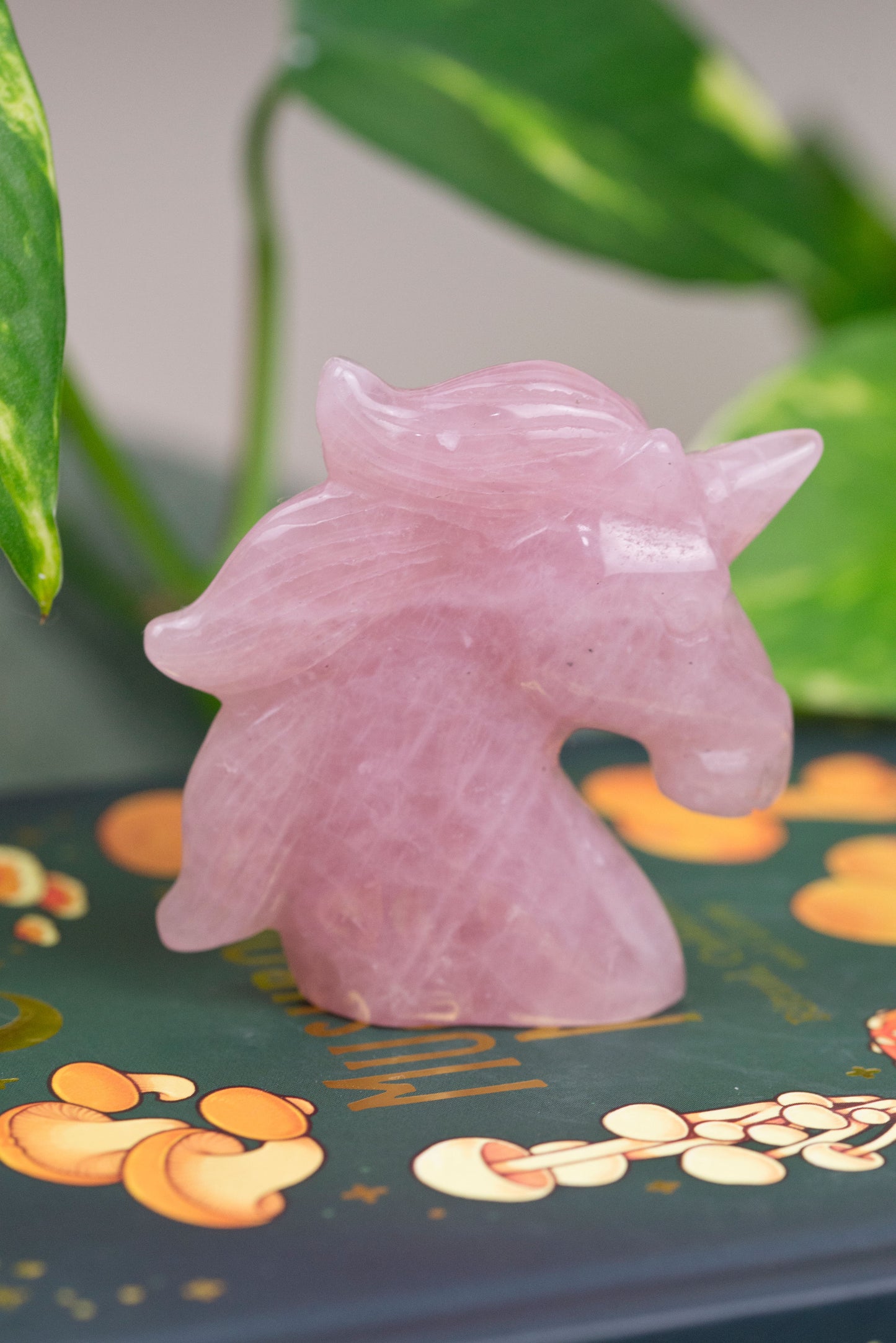 Rose Quartz | Unicorn