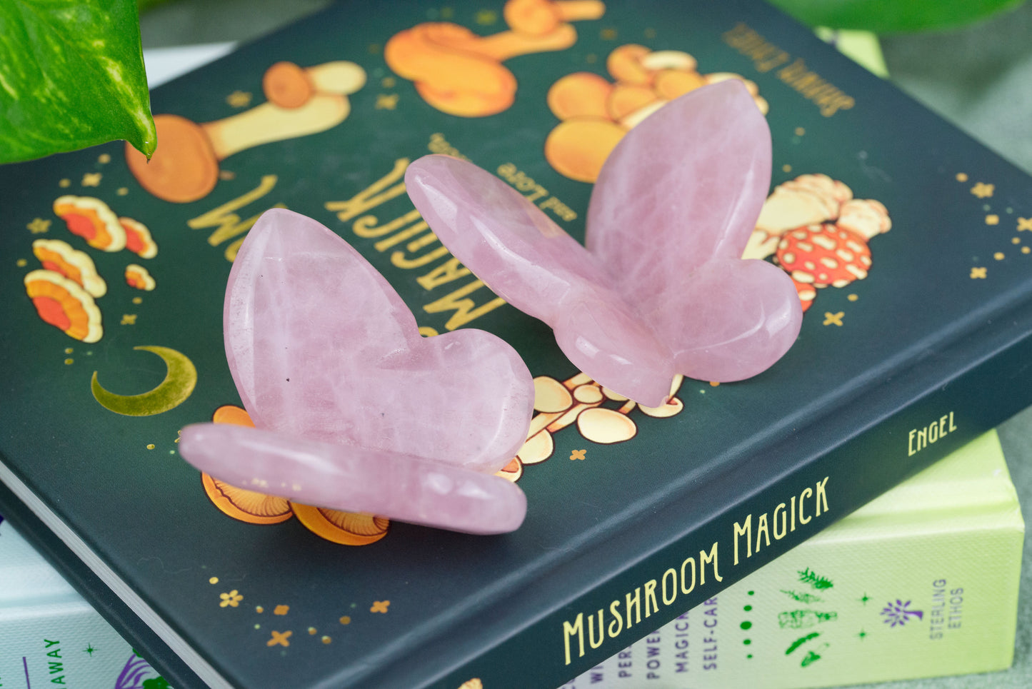 Rose Quartz | 3D Butterfly