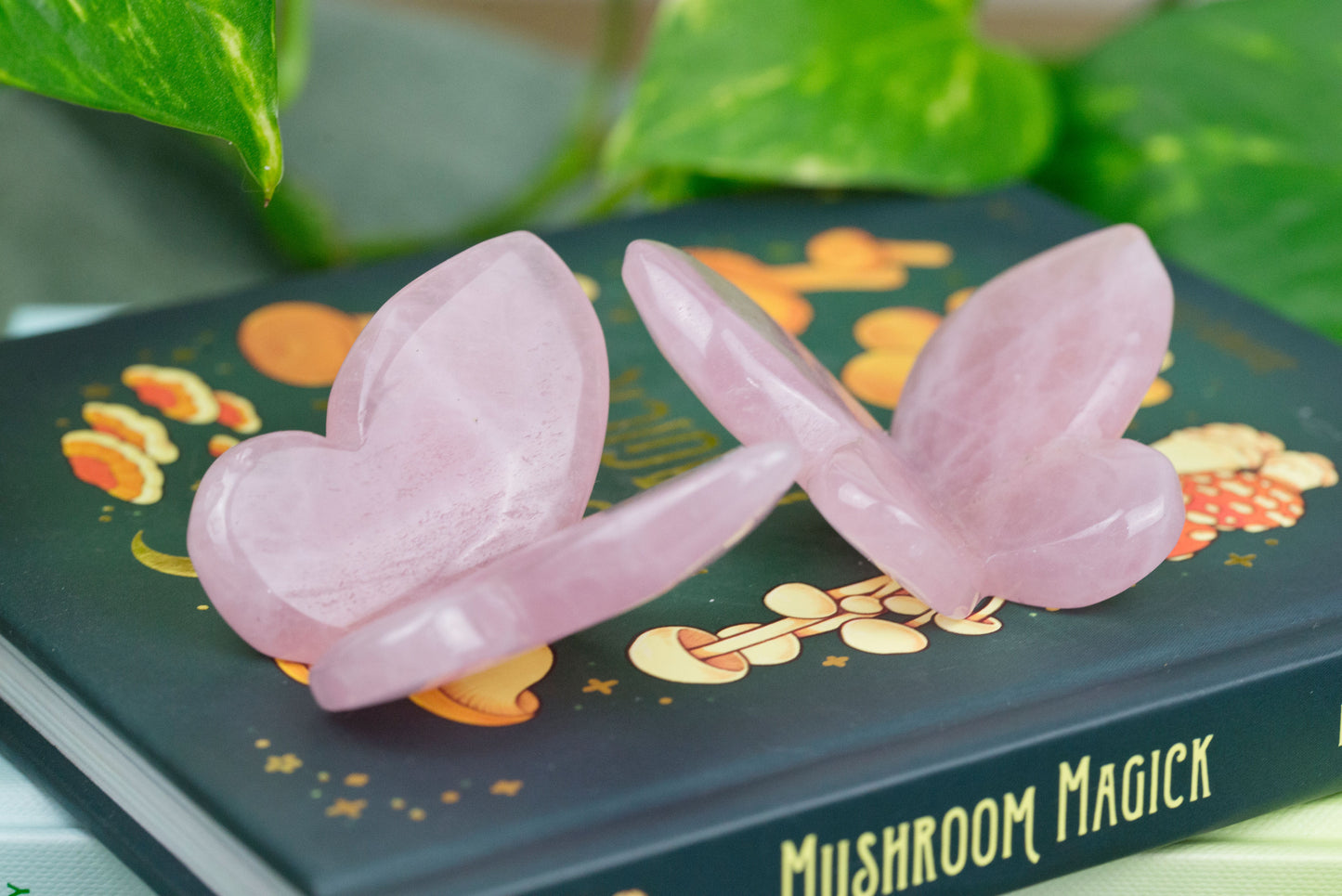 Rose Quartz | 3D Butterfly