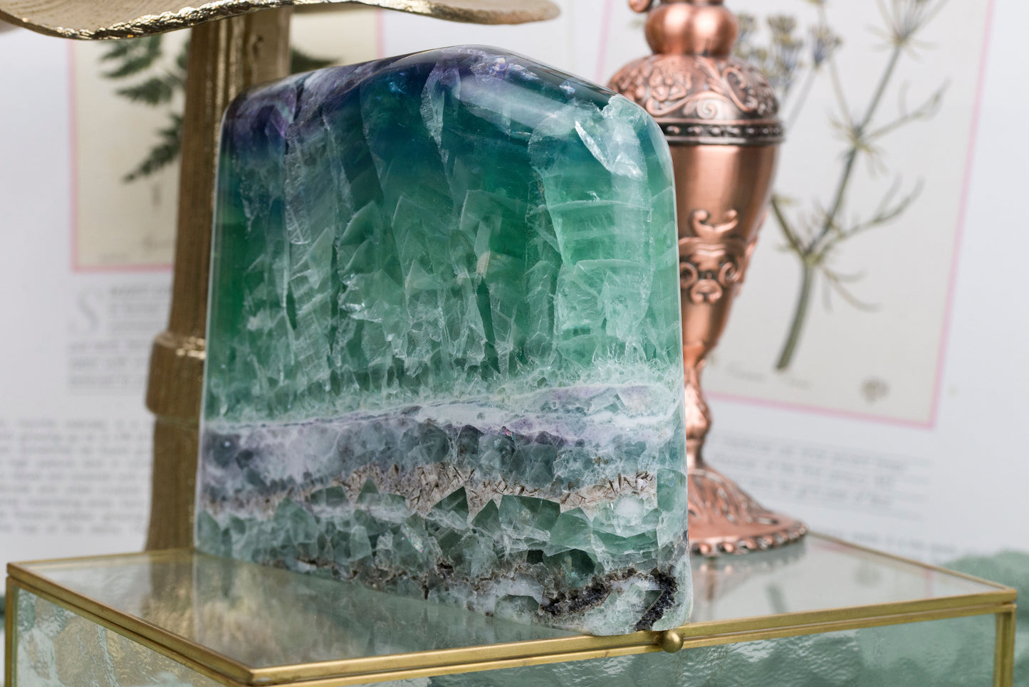 Rainbow Snowflake Fluorite | Freeform