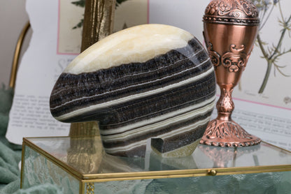 Zebra Calcite x Onyx | Bears