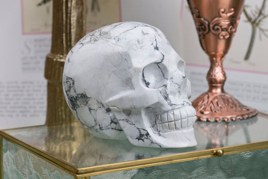 Howlite | XL Skull