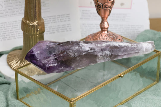 Amethyst | Natural Root