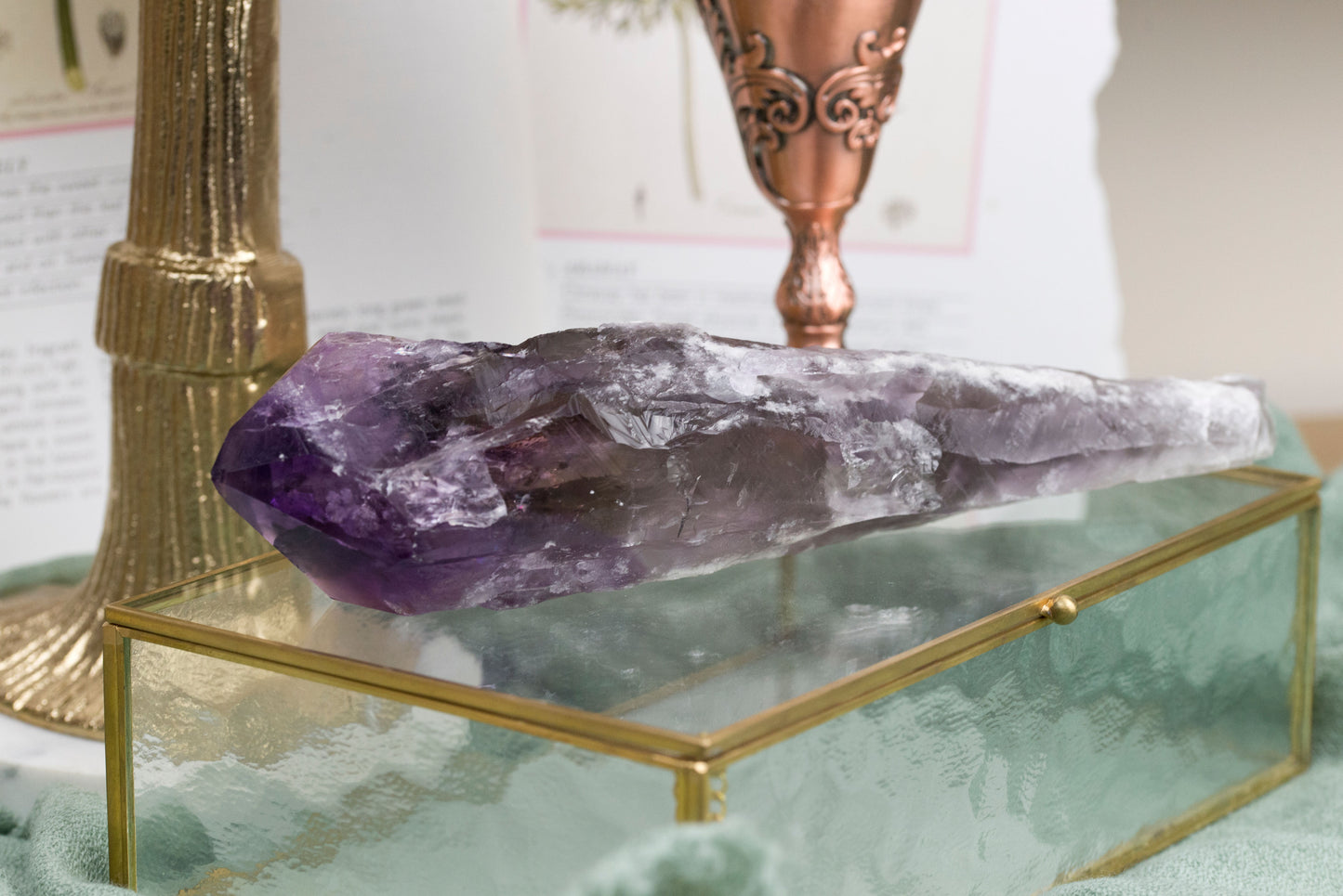 Amethyst | Natural Root