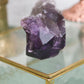 Amethyst | Natural Root