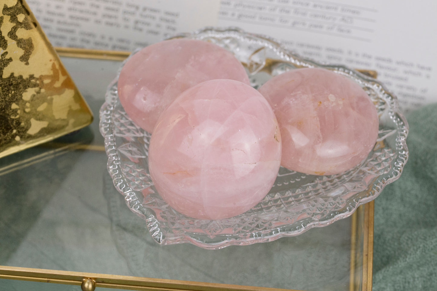 Rose Quartz | Palms