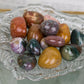 Ocean Jasper | Tumbles