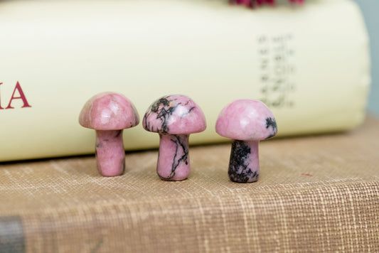 Rhodonite Mini Mushrooms