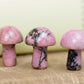 Rhodonite Mini Mushrooms