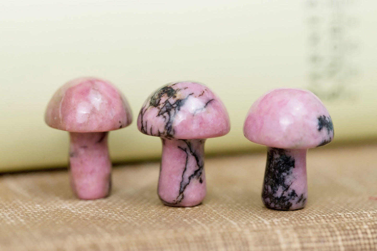 Rhodonite Mini Mushrooms