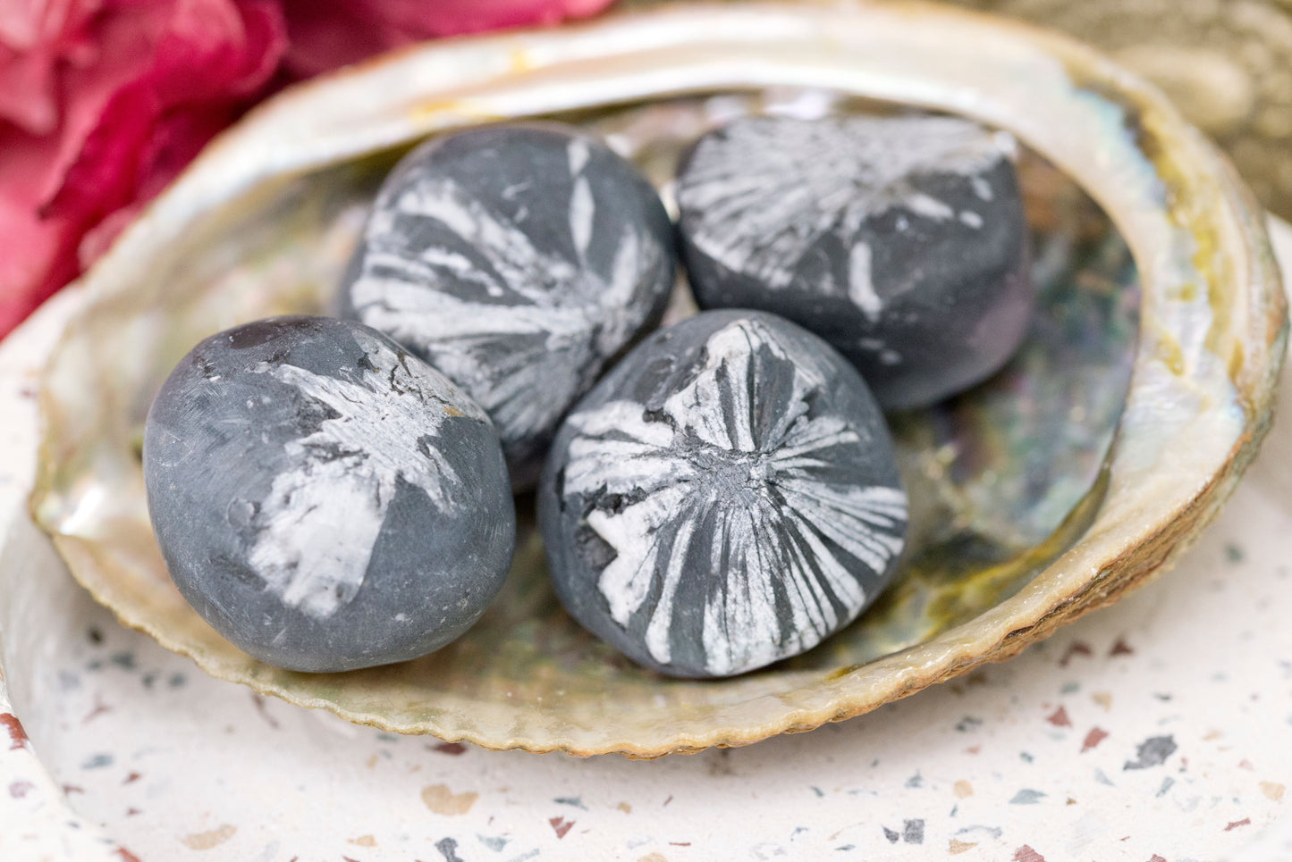 Chrysanthemum Stones