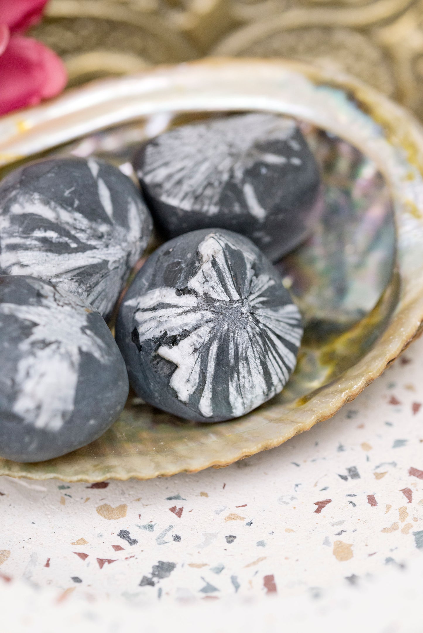 Chrysanthemum Stones