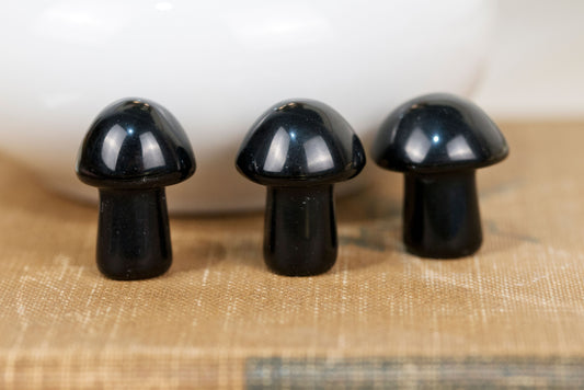 Black Obsidian Mushrooms