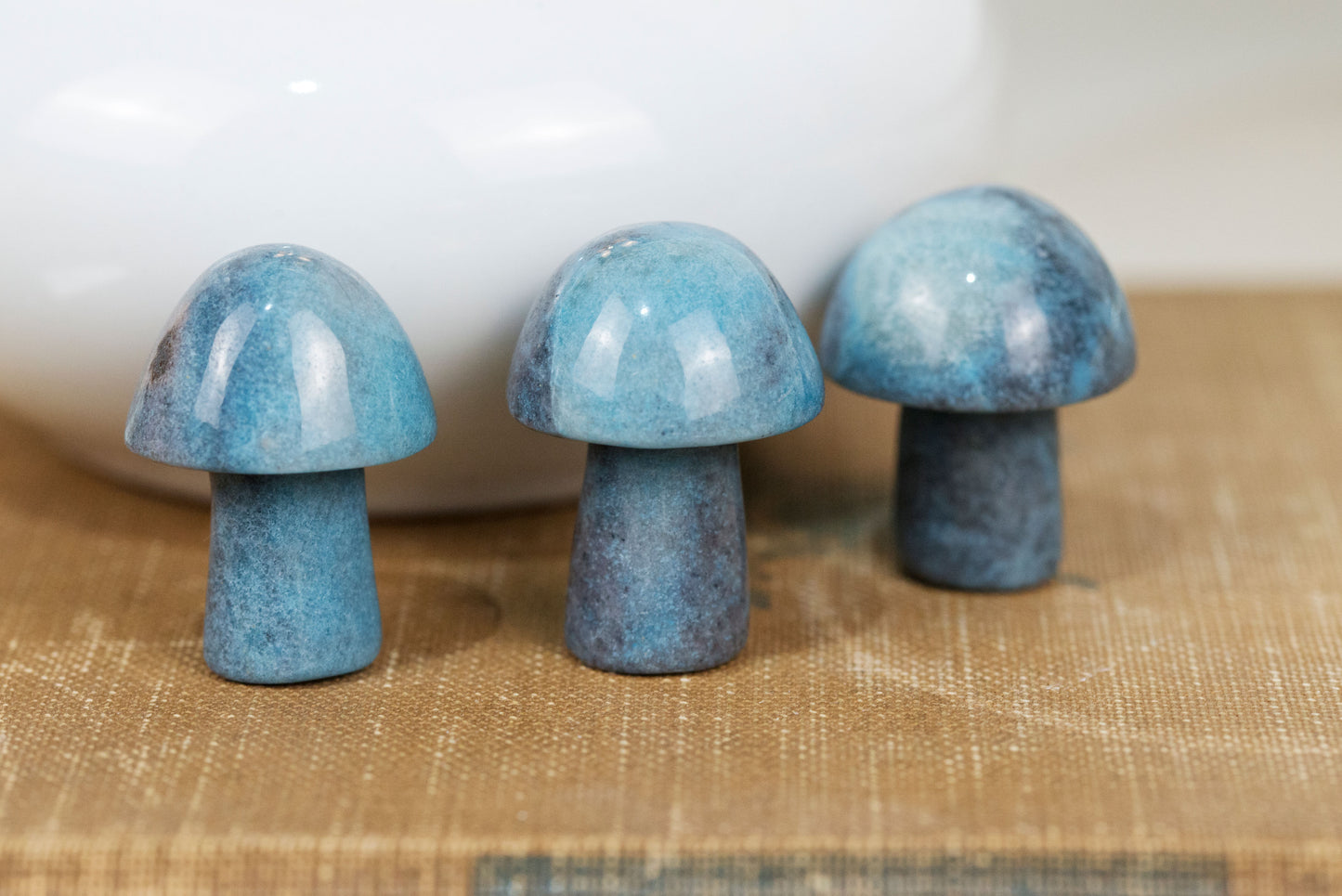 Trolleite Mushrooms