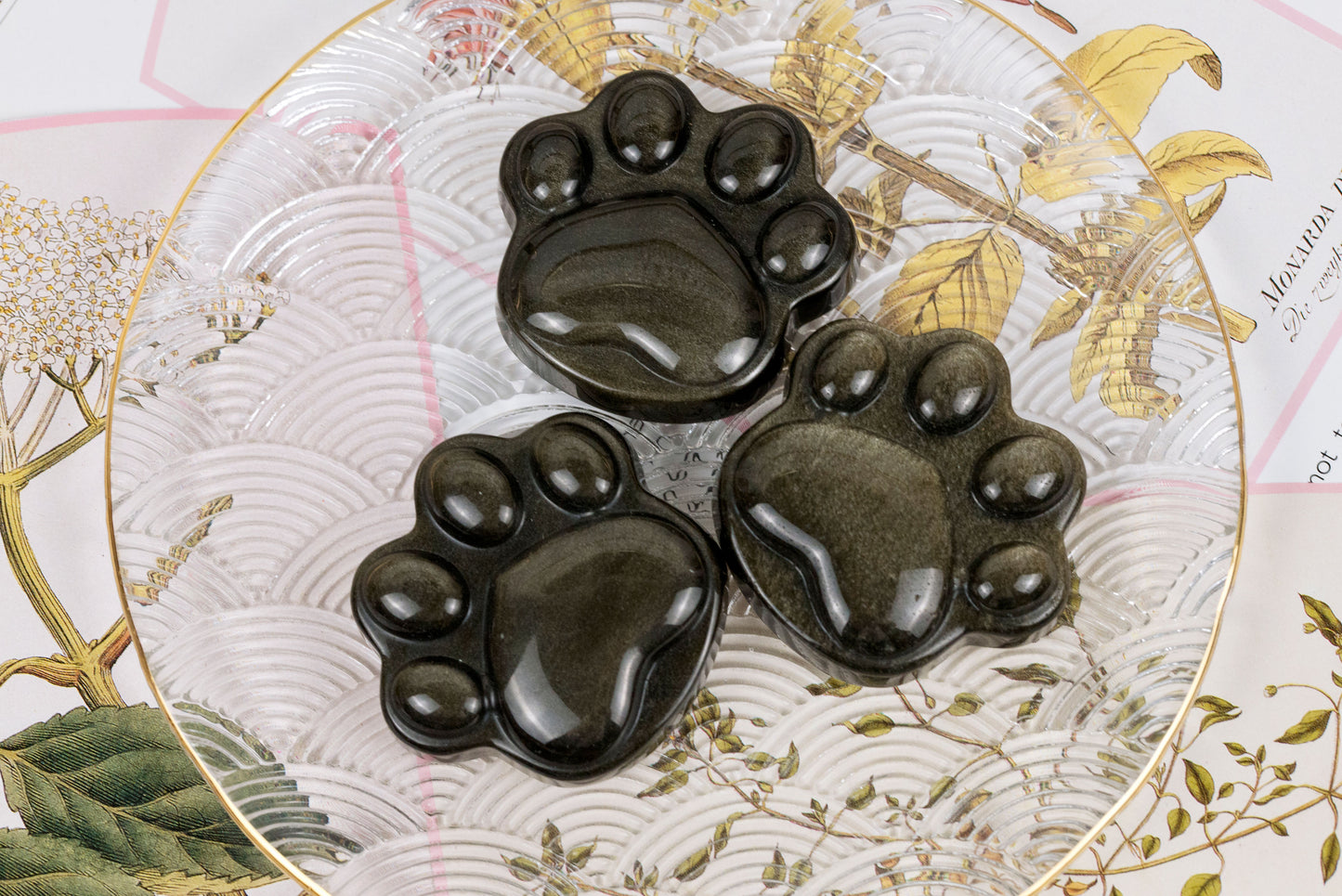 Gold-Sheen Obsidian Paws