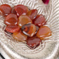 Carnelian Hearts