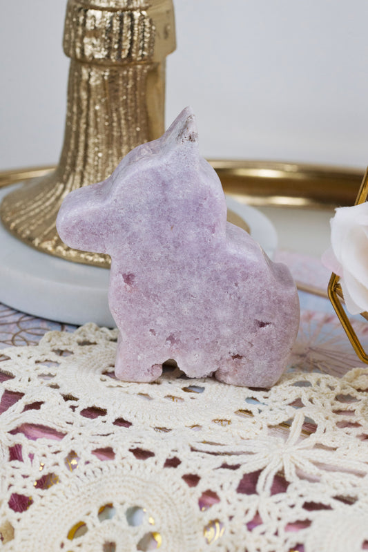 Pink Amethyst | Dog