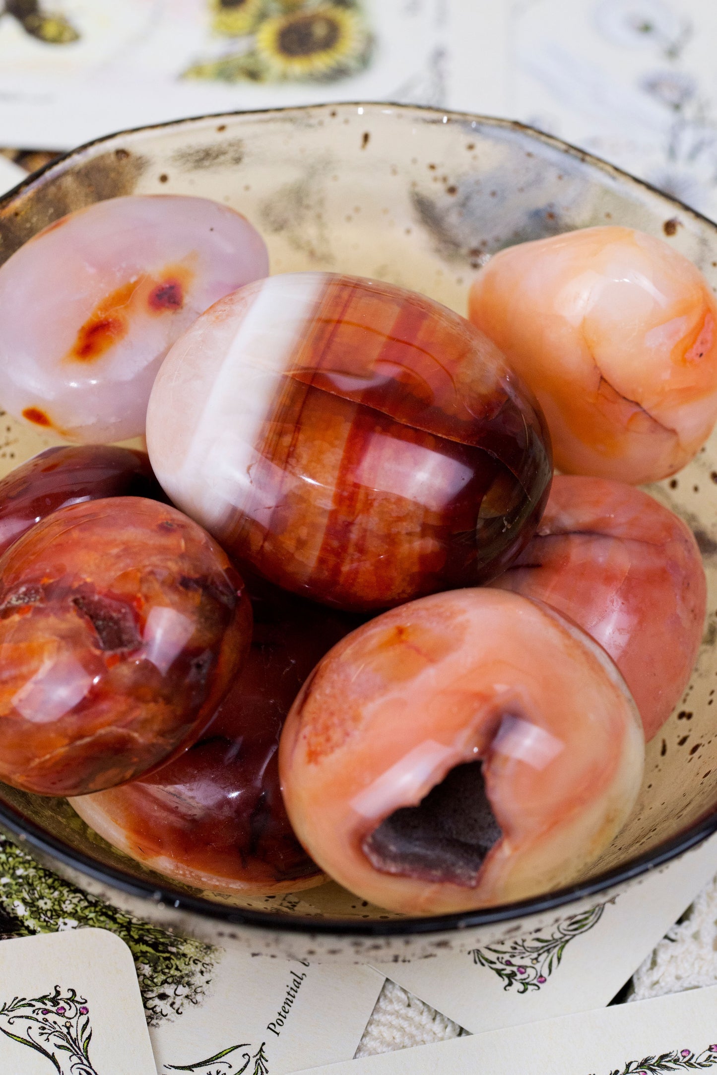 Carnelian Palms