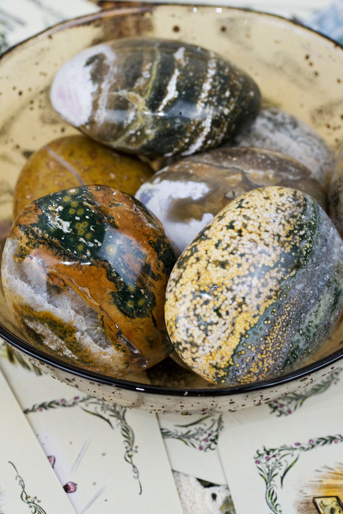 Ocean Jasper Palms