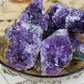 Raw Mini Amethyst