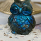 Labradorite Owls