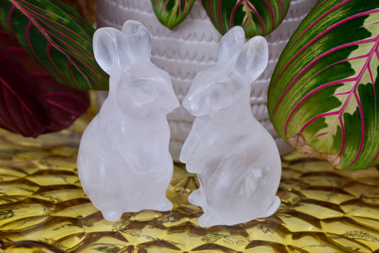 Clear Quartz Rabbits