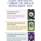 The Modern Witchcraft | Natural Magick Boxed Set