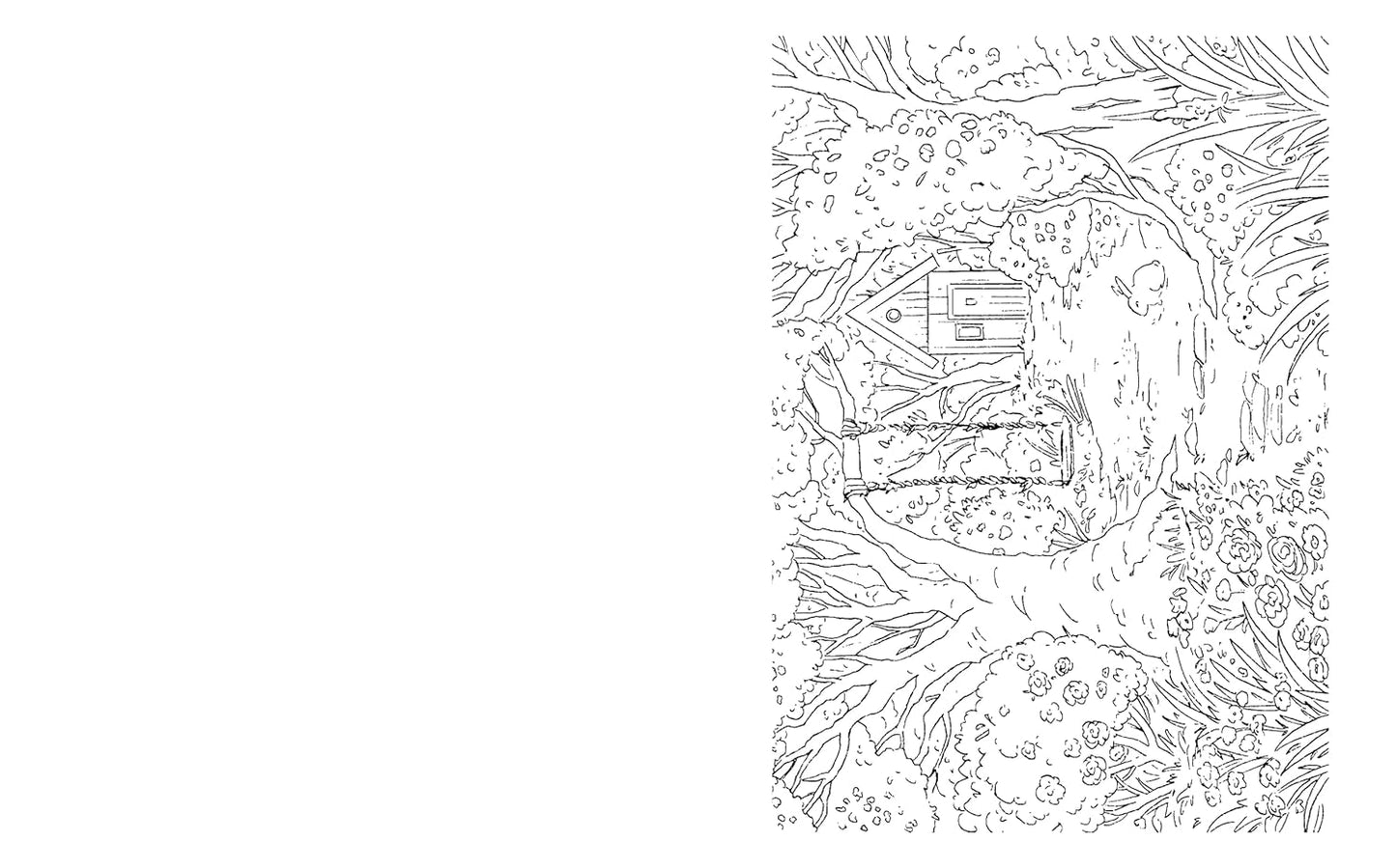 The Magical Landscapes | Colouring Book