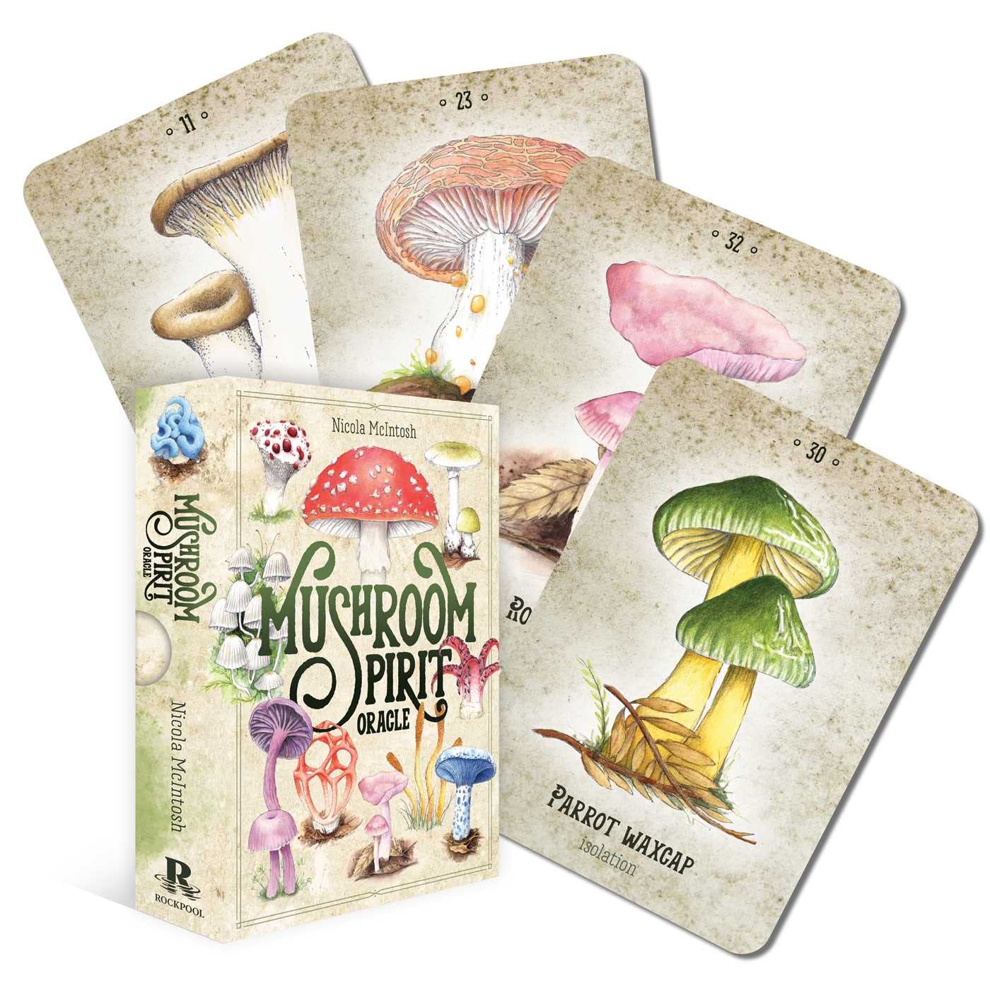 Mushroom Spirit - Oracle Deck