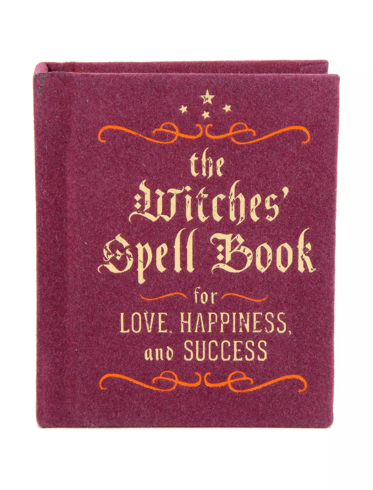 The Witches' Spell Book