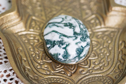 Moss Agate Palm