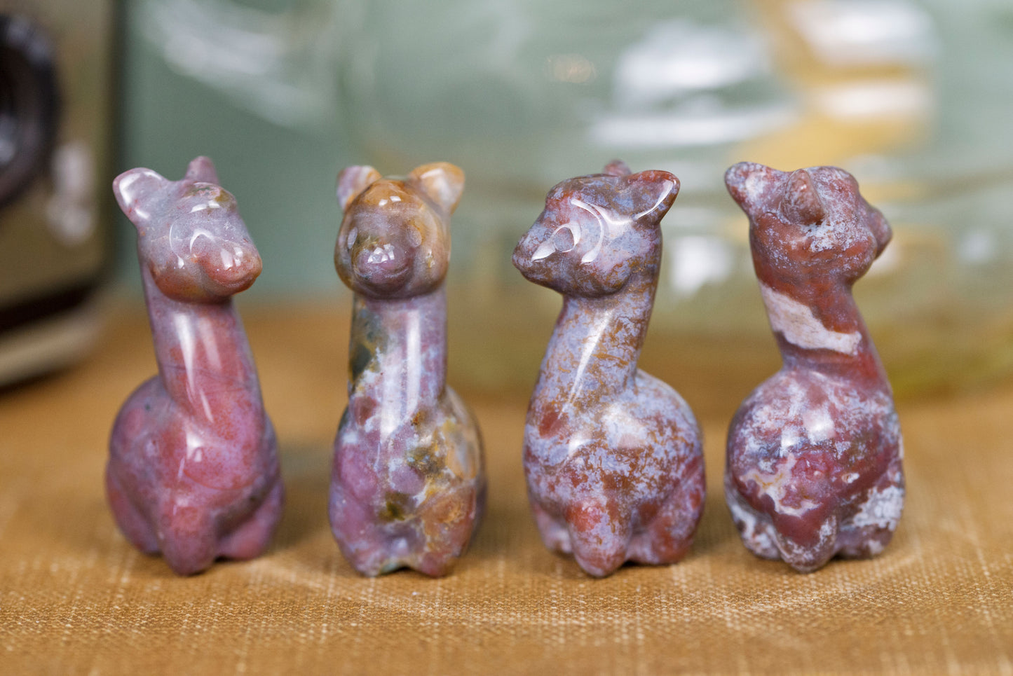 Ocean Jasper Alpacas