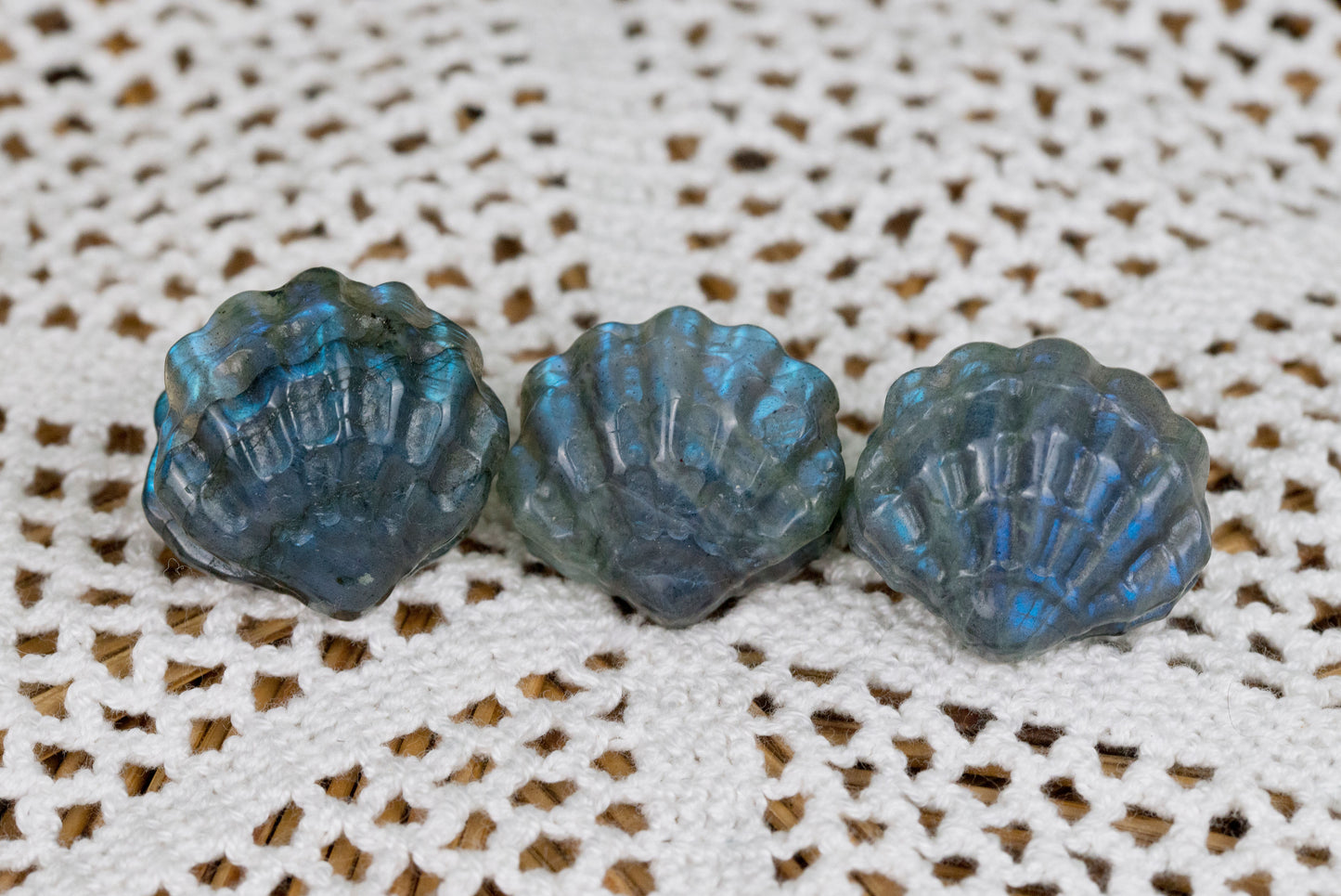 Labradorite Shells