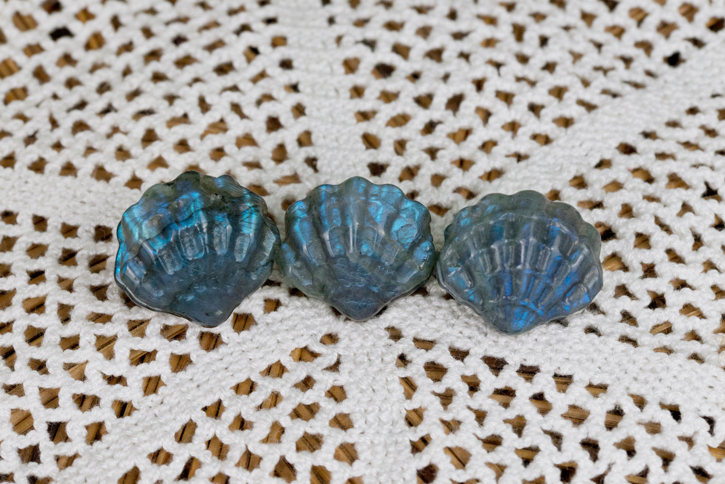 Labradorite Shells