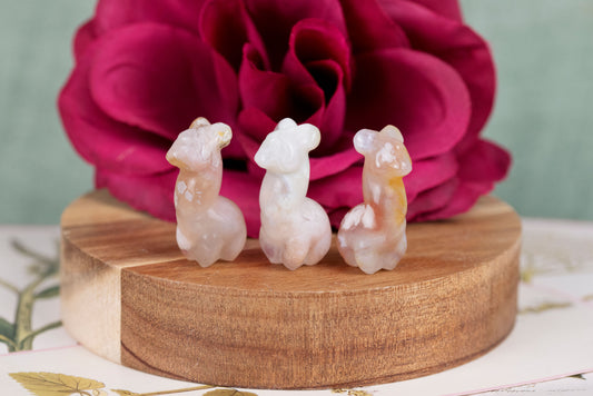 Flower Agate Mini Alpacas