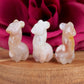 Flower Agate Mini Alpacas