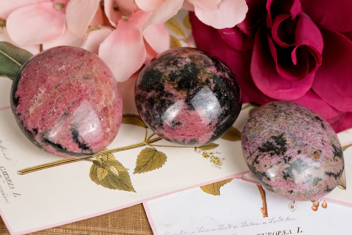 Rhodonite Palms