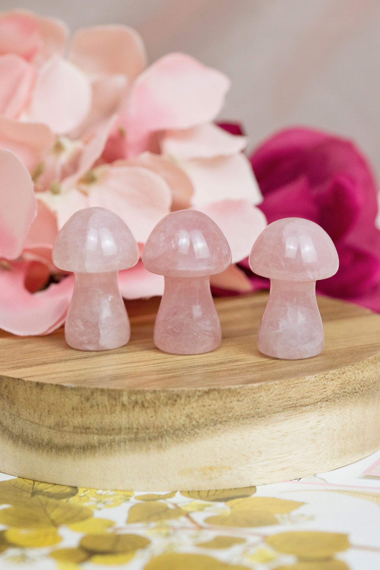 Rose Quartz Mushrooms